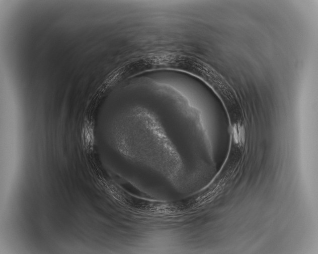 X0000115431155200911121057