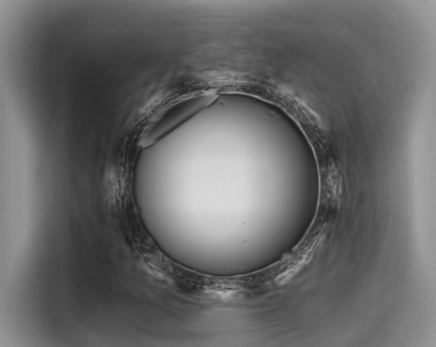 X0000115431157200911121057