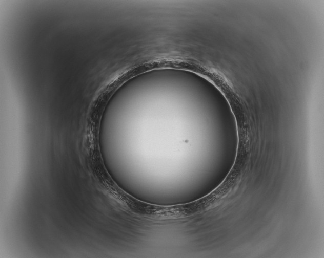 X0000115431159200911121057