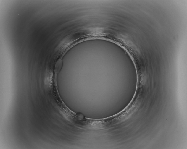 X0000115431161200911121057