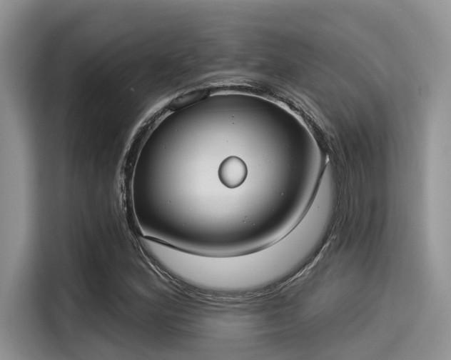 X0000115431164200911121057