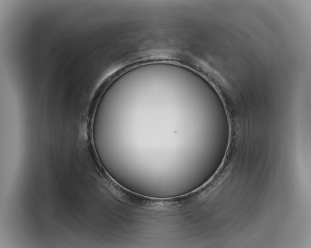 X0000115431166200911121057