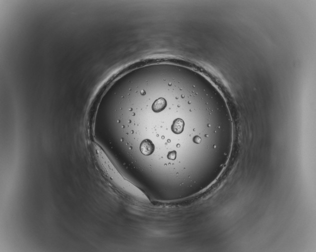 X0000115431167200911121057