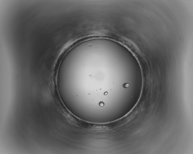 X0000115431168200911121057