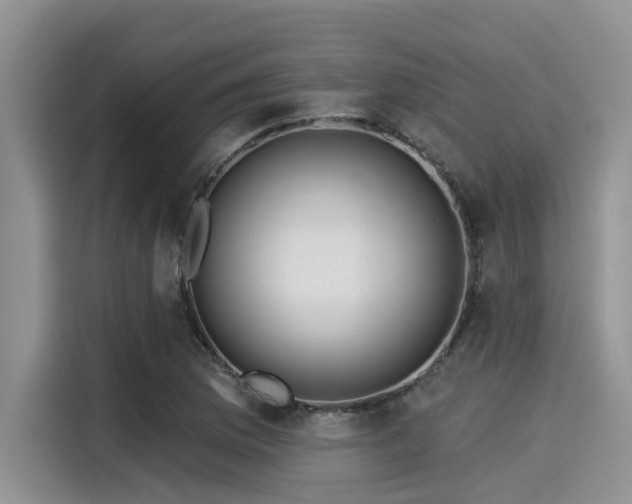 X0000115431169200911121057