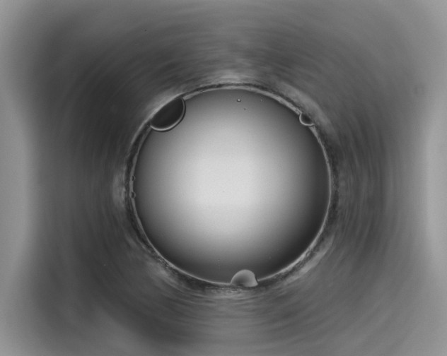 X0000115431170200911121057