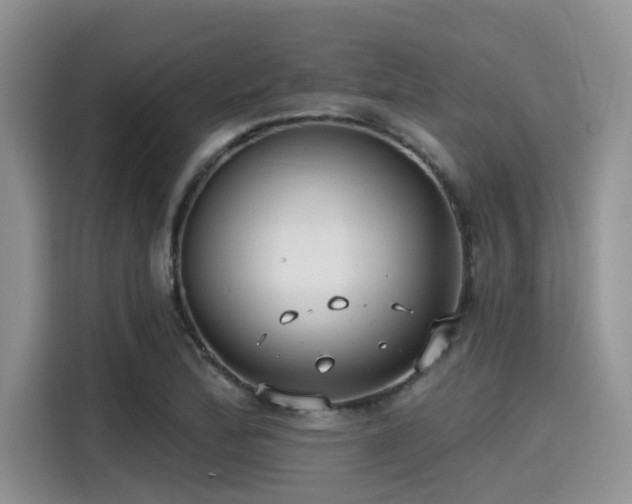 X0000115431172200911121057