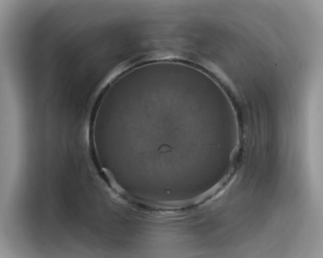 X0000115431173200911121057