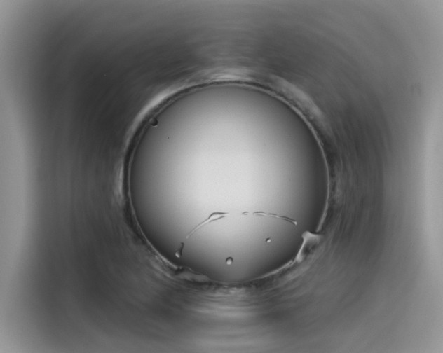 X0000115431174200911121057