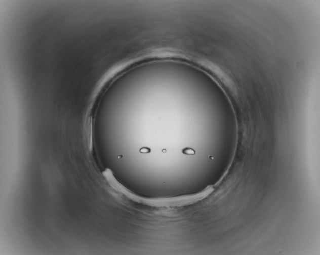 X0000115431175200911121057