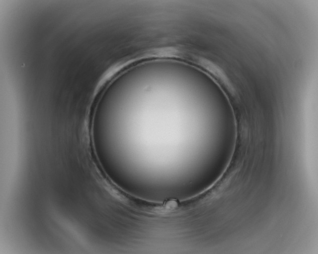 X0000115431176200911121057
