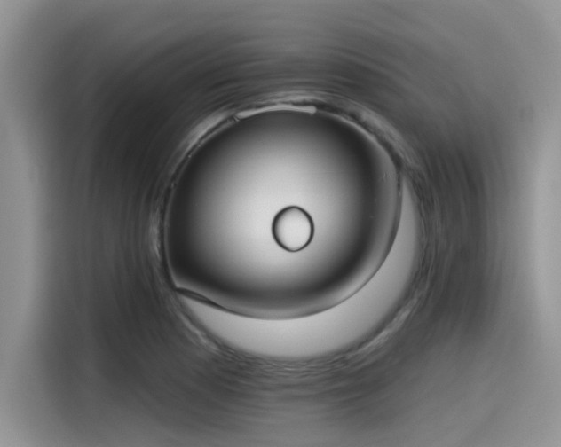 X0000115431177200911121057