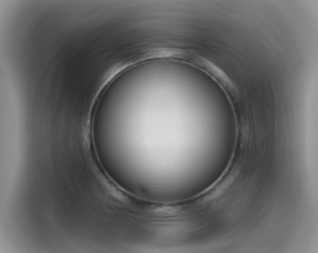 X0000115431178200911121057