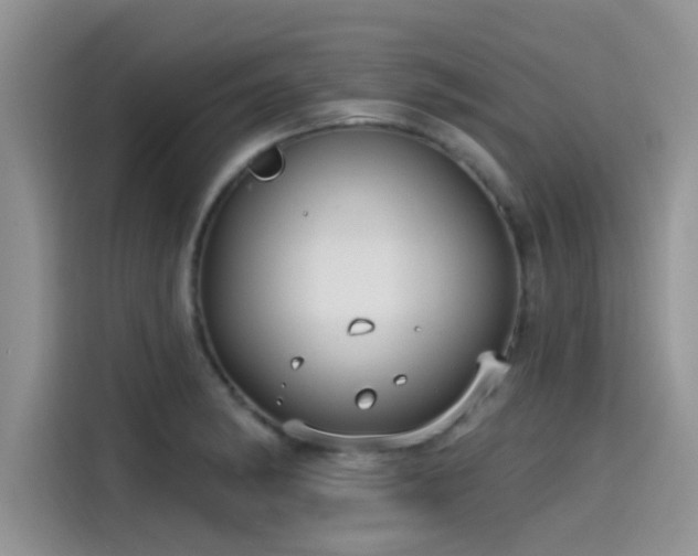 X0000115431182200911121057