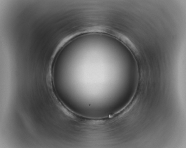 X0000115431184200911121057