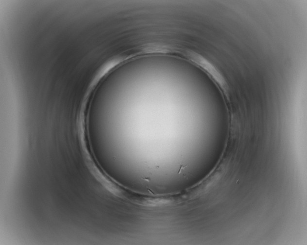 X0000115431187200911121057