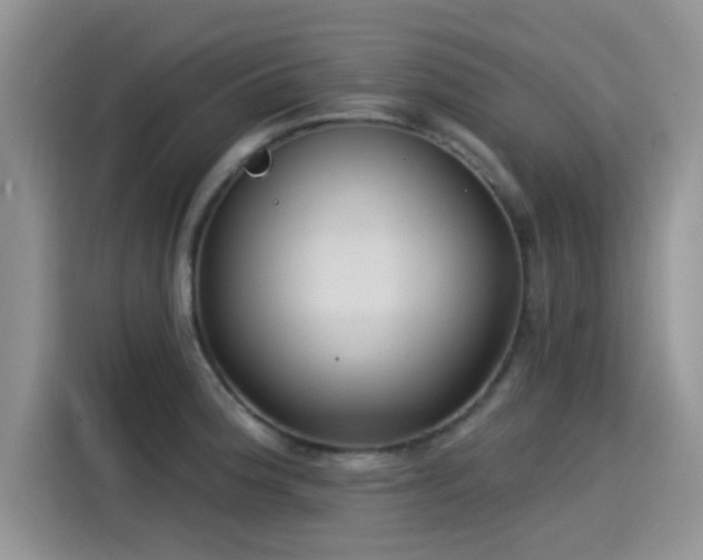 X0000115431188200911121057