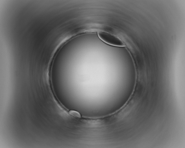 X0000115431189200911121057