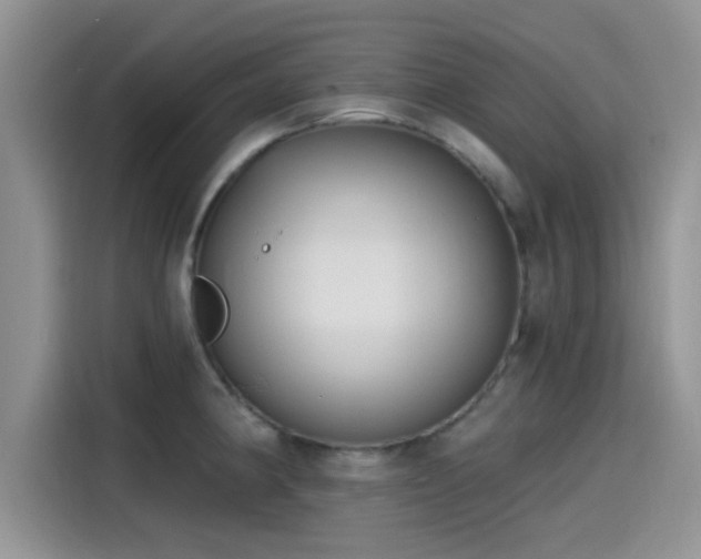 X0000115431190200911121057