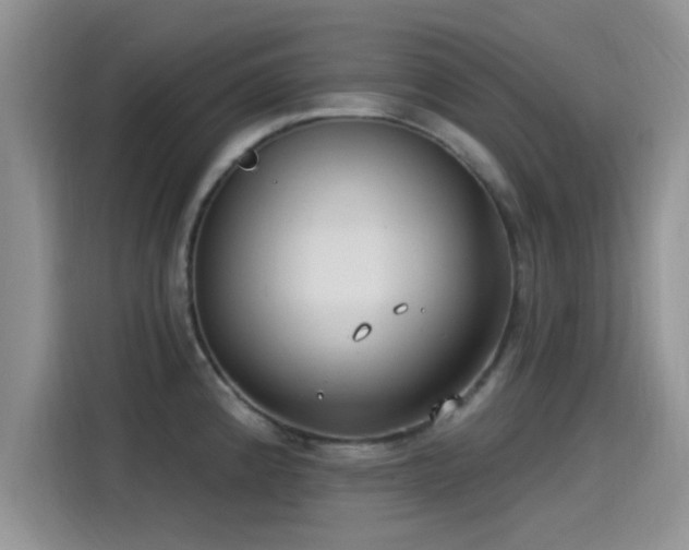 X0000115431192200911121057