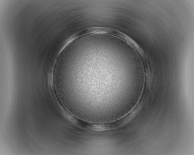 X0000115431194200911121057
