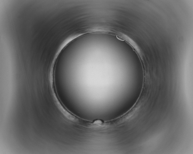 X0000115431195200911121057