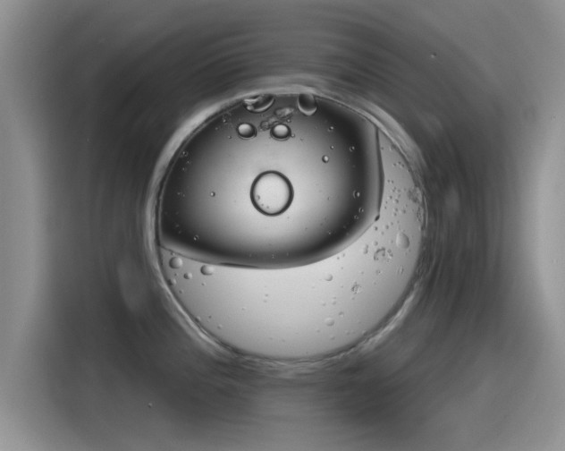 X0000115431196200911121057