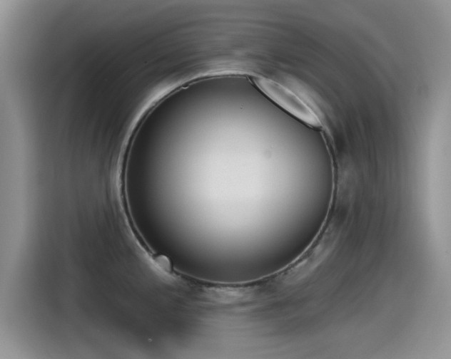 X0000115431197200911121057
