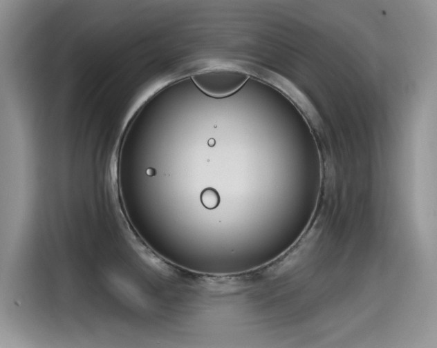 X0000115431198200911121057