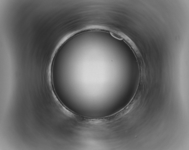 X0000115431199200911121057