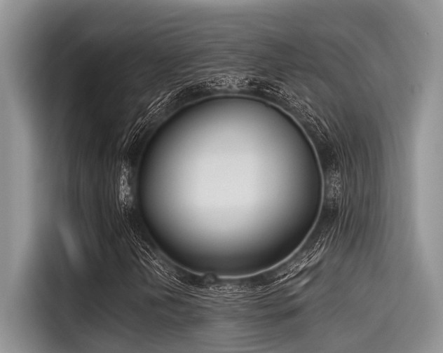 X0000115431202200911121056