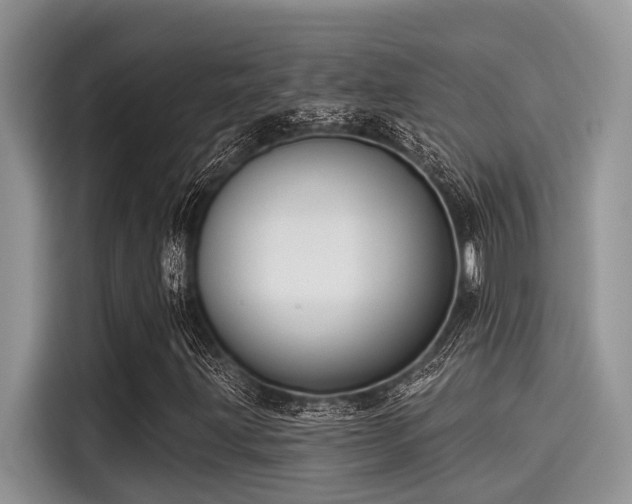 X0000115431203200911121056