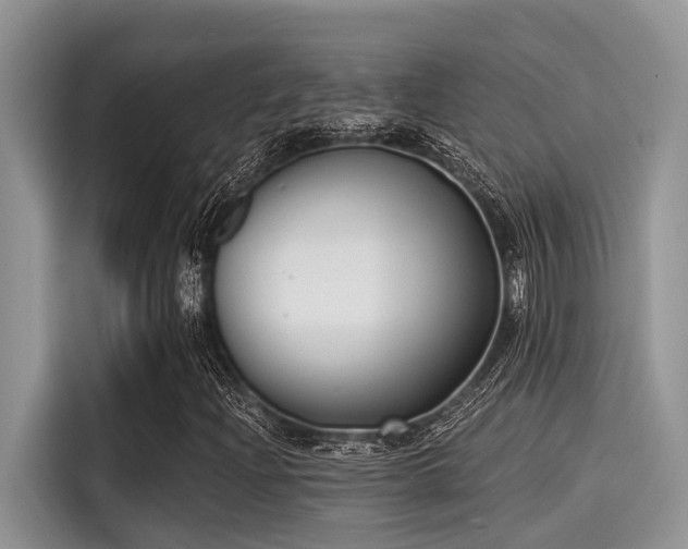 X0000115431204200911121056