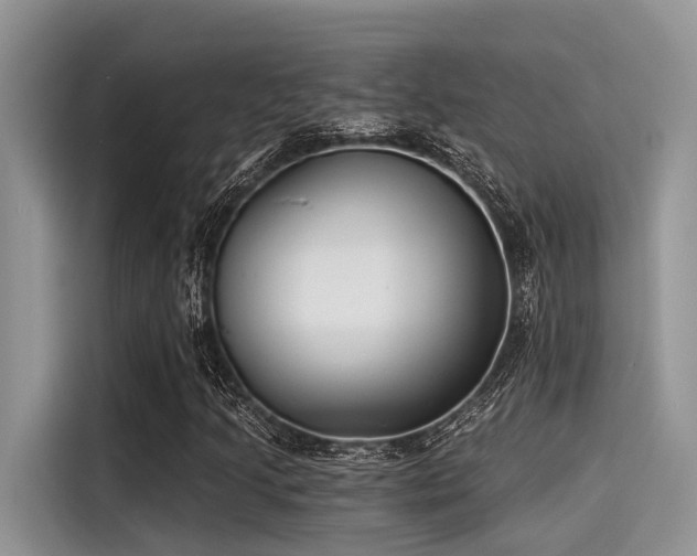 X0000115431205200911121056
