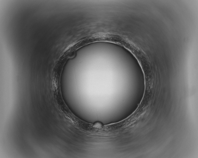 X0000115431206200911121056