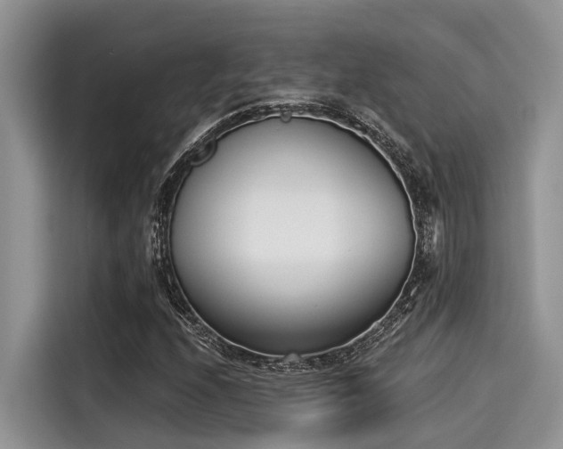 X0000115431208200911121056