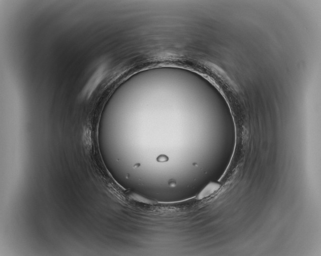 X0000115431209200911121056