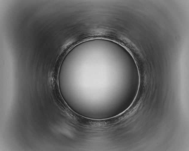 X0000115431210200911121056