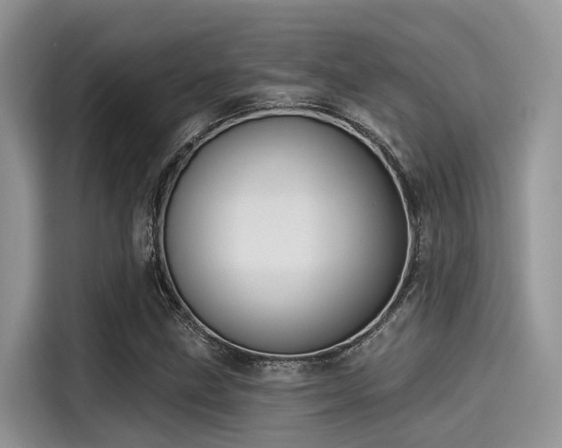 X0000115431211200911121056