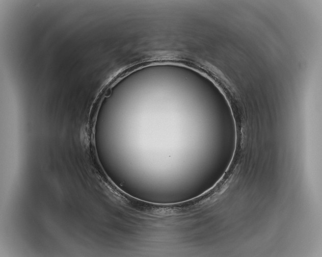 X0000115431212200911121056
