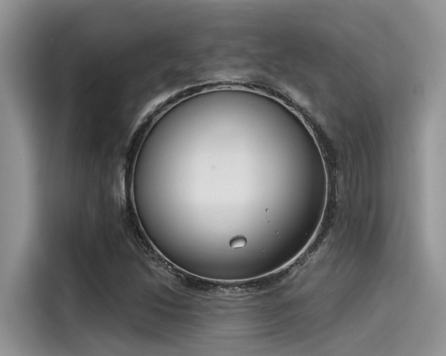 X0000115431214200911121056