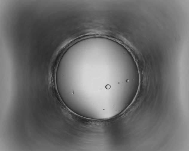 X0000115431215200911121056