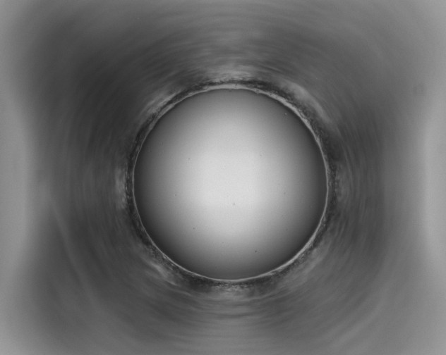 X0000115431217200911121056