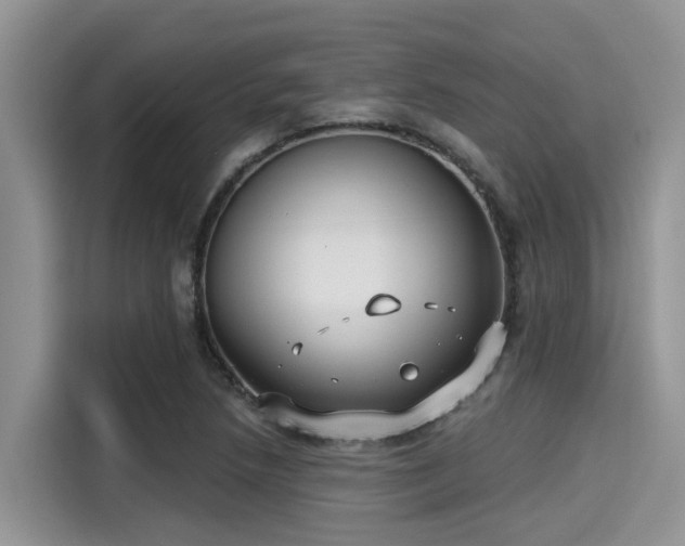 X0000115431218200911121056