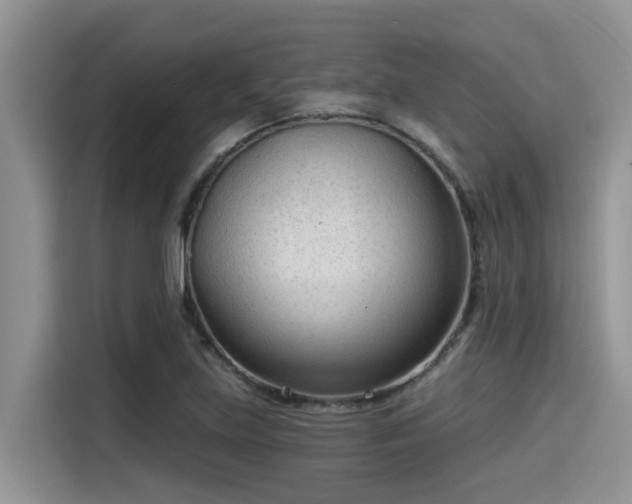 X0000115431219200911121056