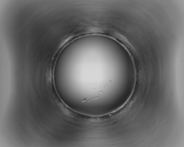 X0000115431220200911121056