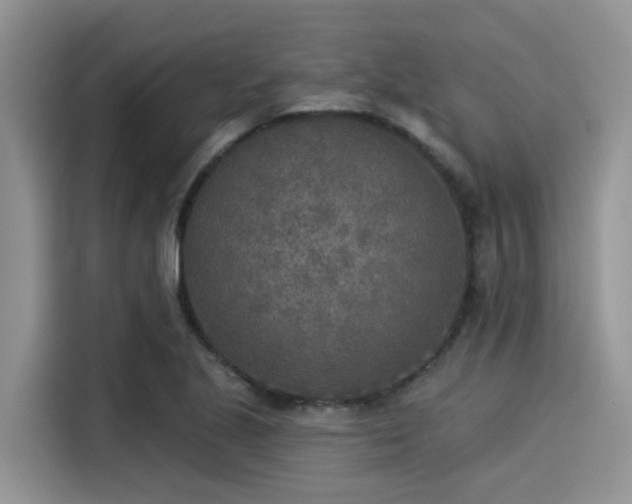 X0000115431221200911121056