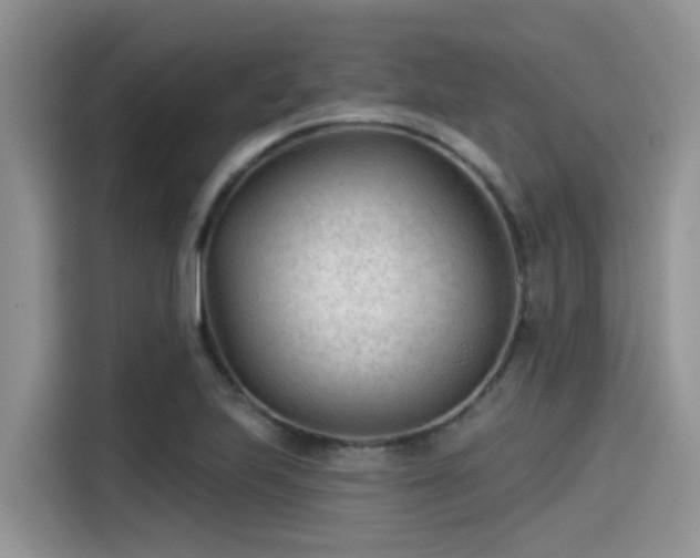 X0000115431223200911121056