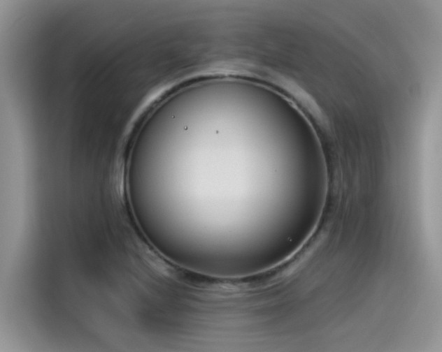 X0000115431224200911121056