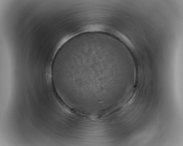 X0000115431226200911121056